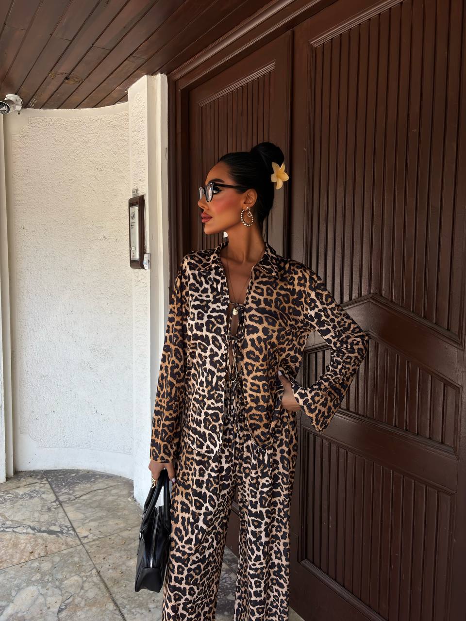 Leopard Luxe Tie Set
