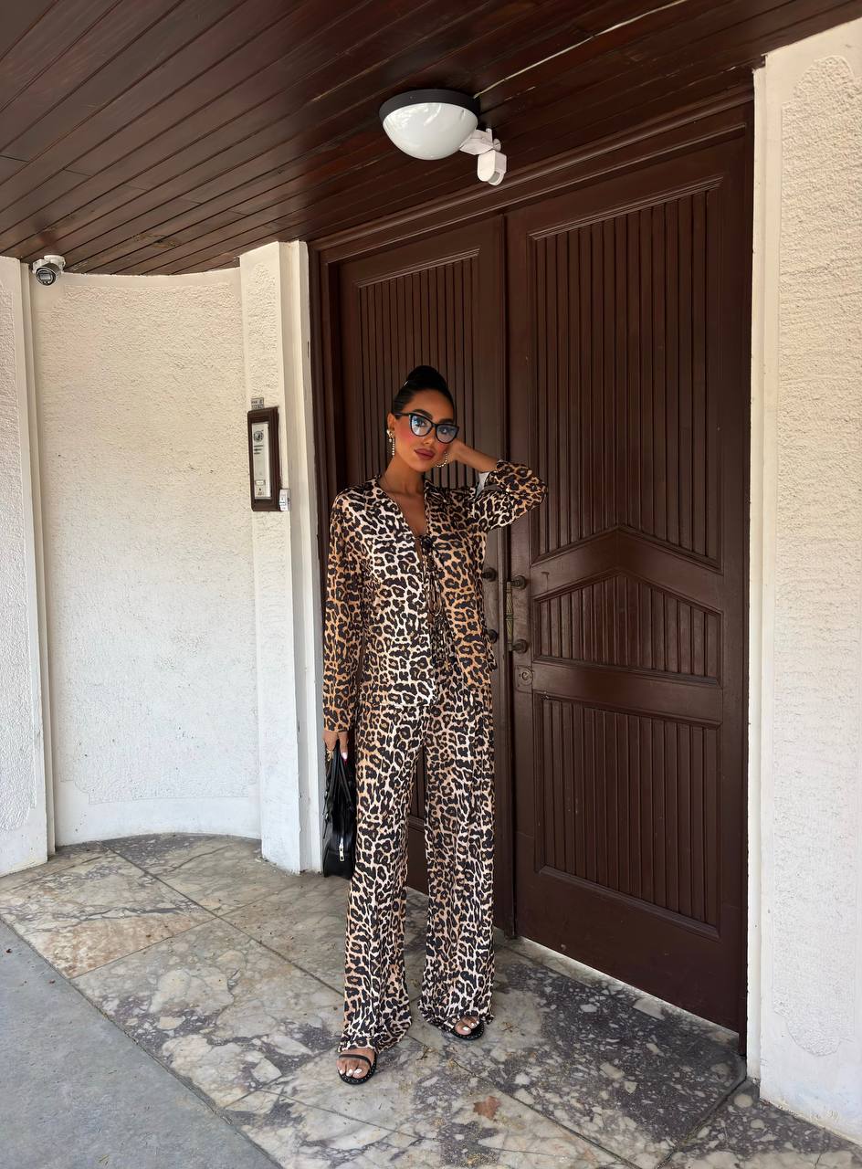 Leopard Luxe Tie Set