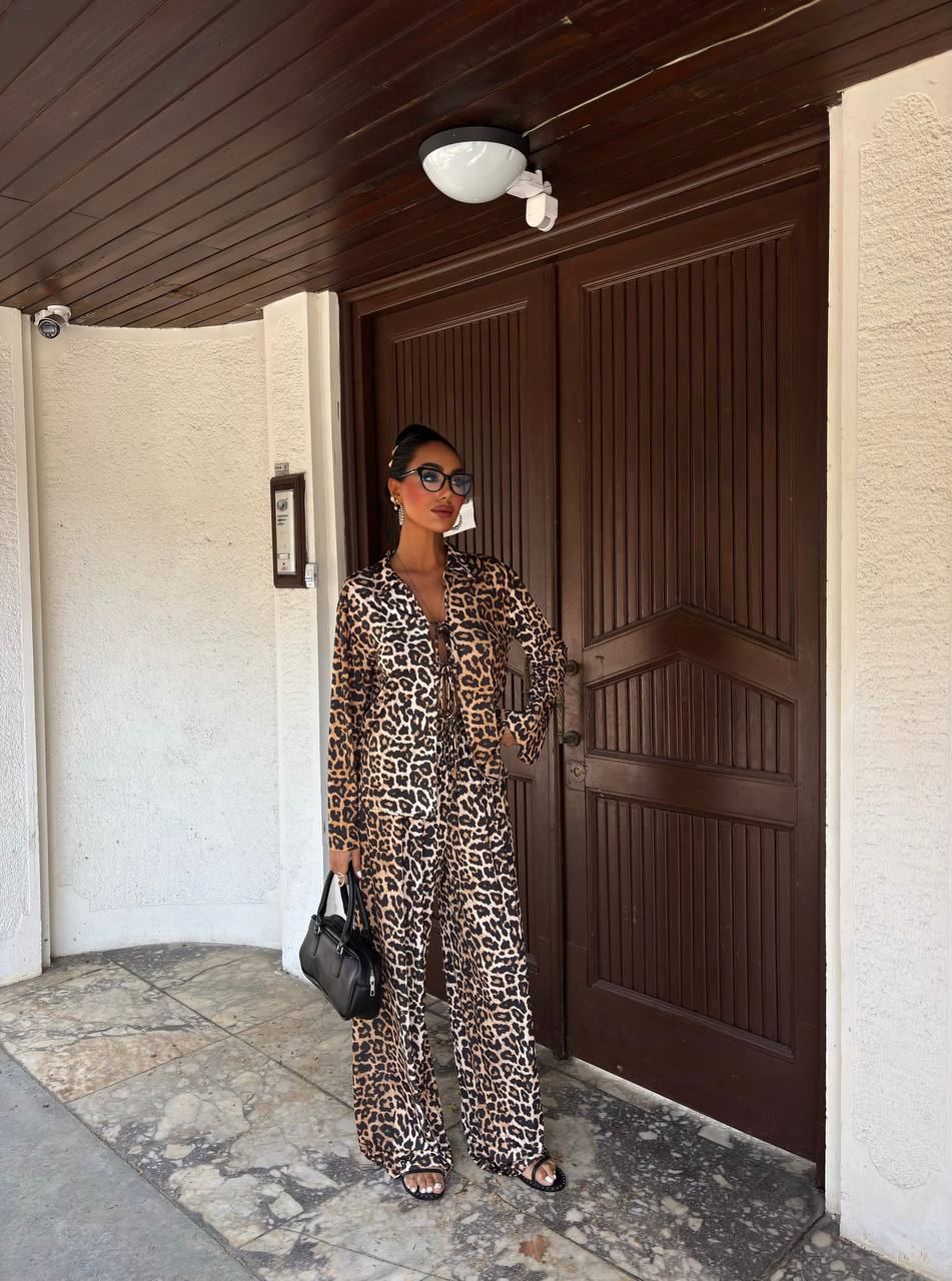 Leopard Luxe Tie Set